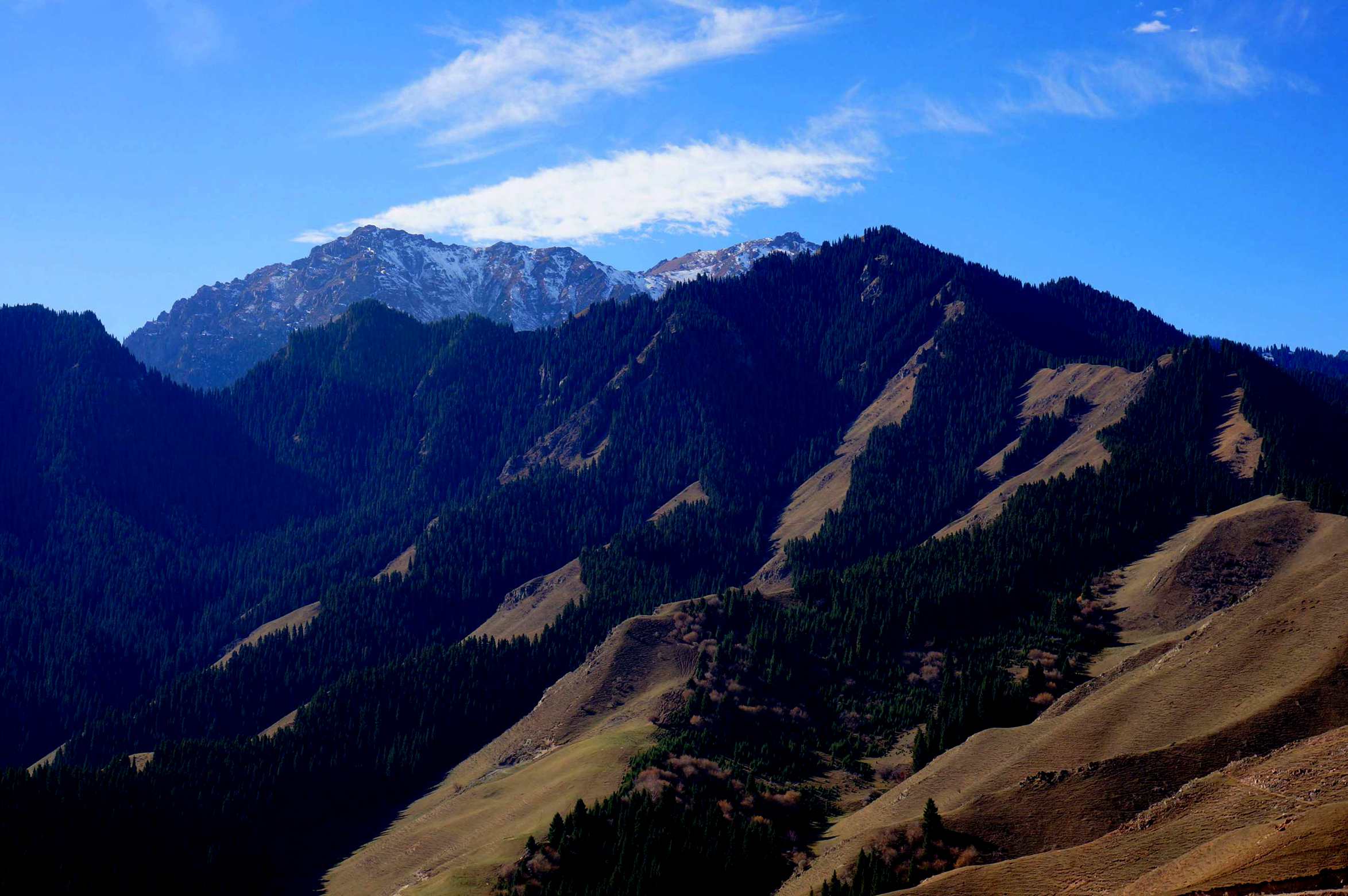 DSC01189 __.jpg
