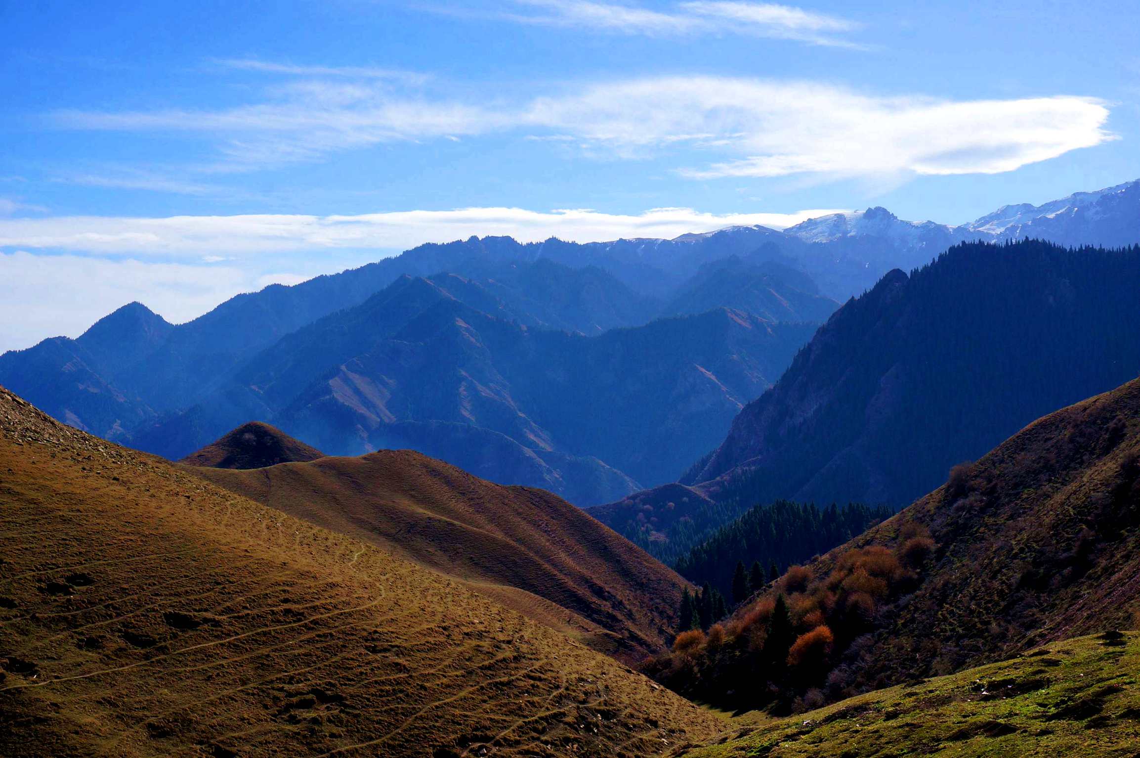 DSC01192 __.jpg