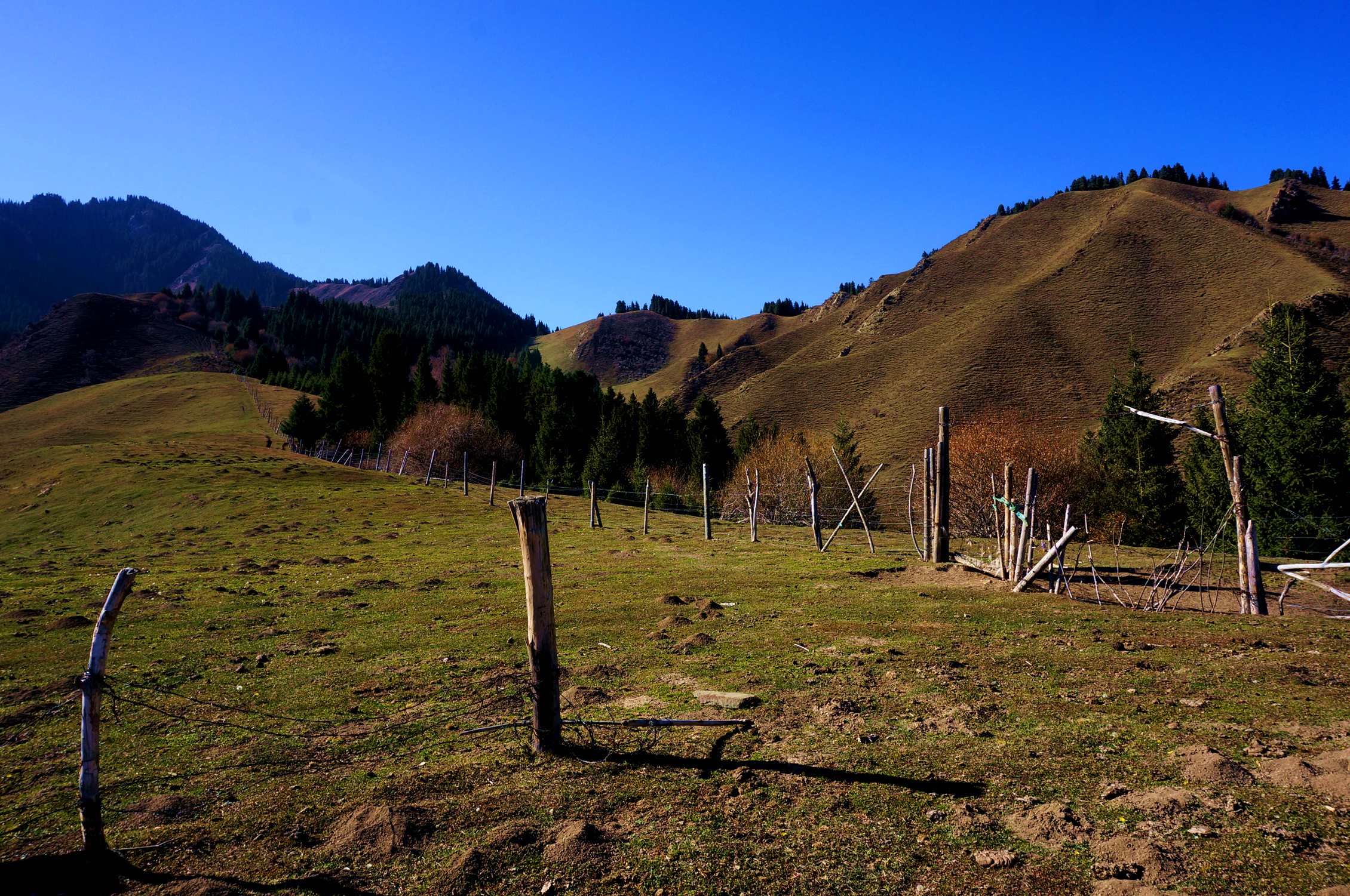 DSC01205_.jpg