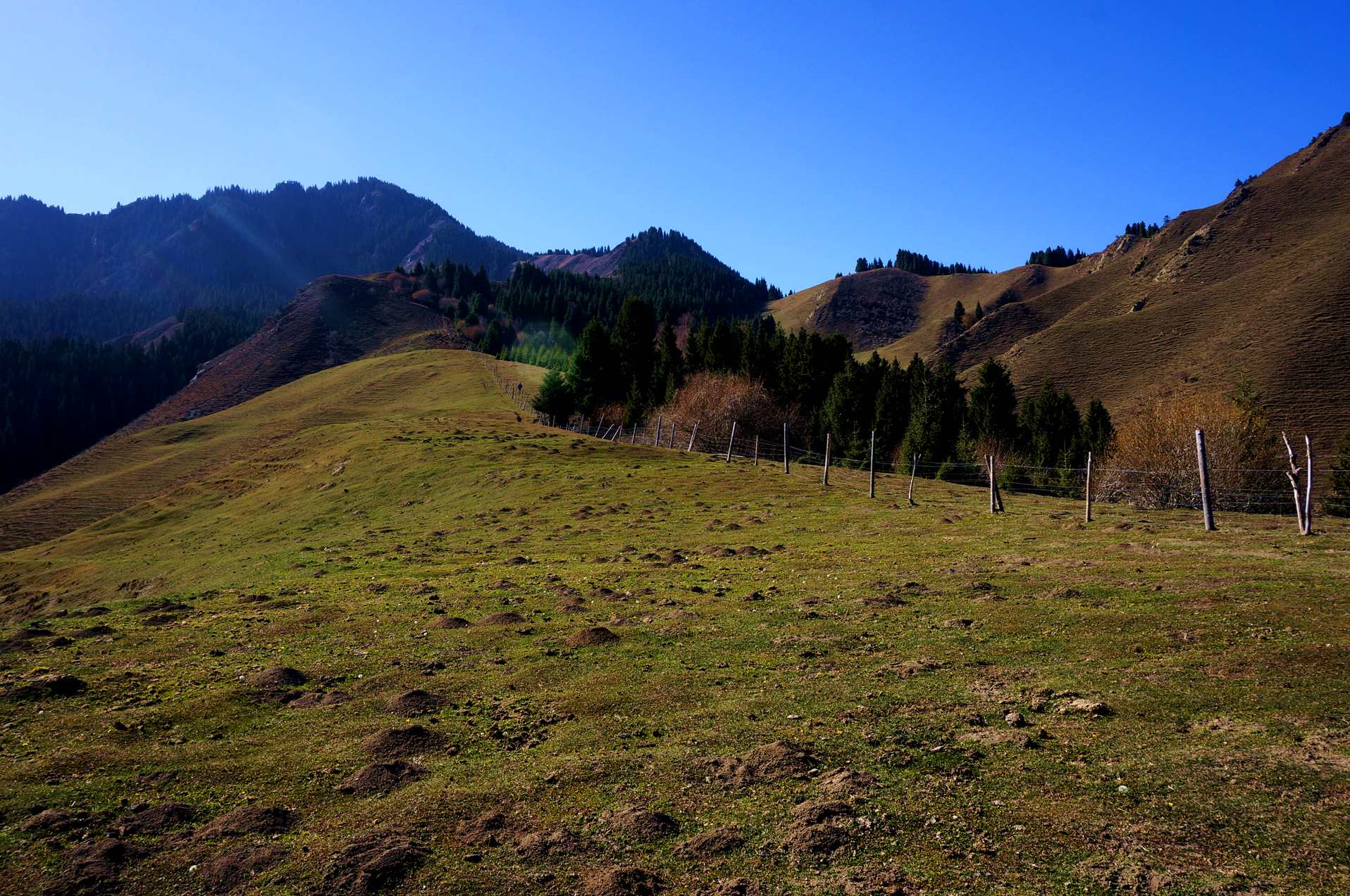 DSC01213_.jpg