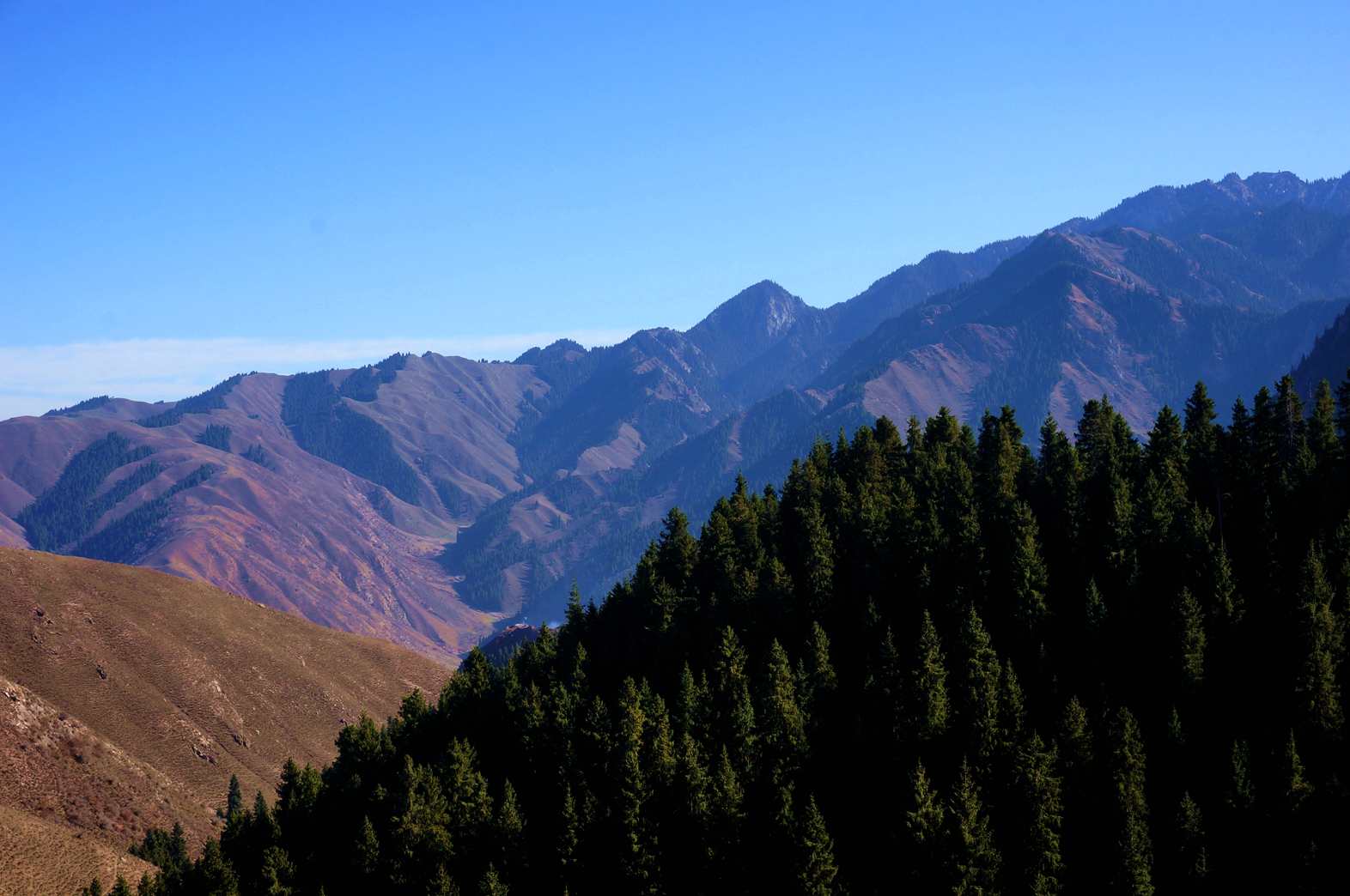 DSC01223_.jpg