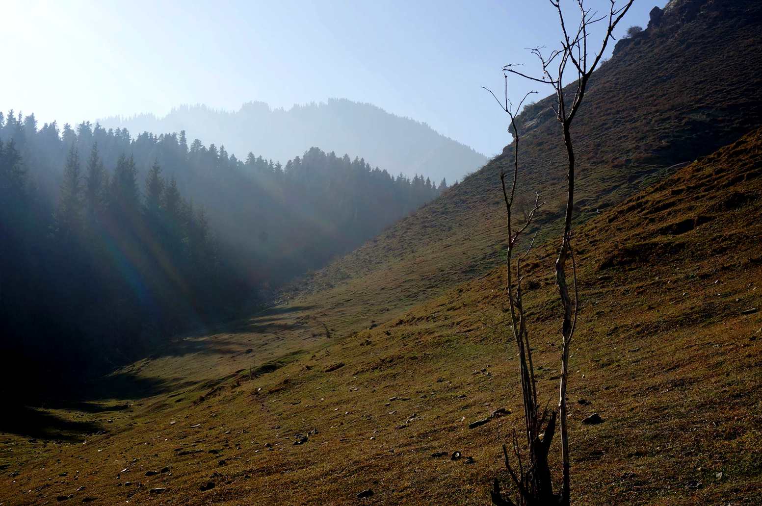DSC01249__.jpg