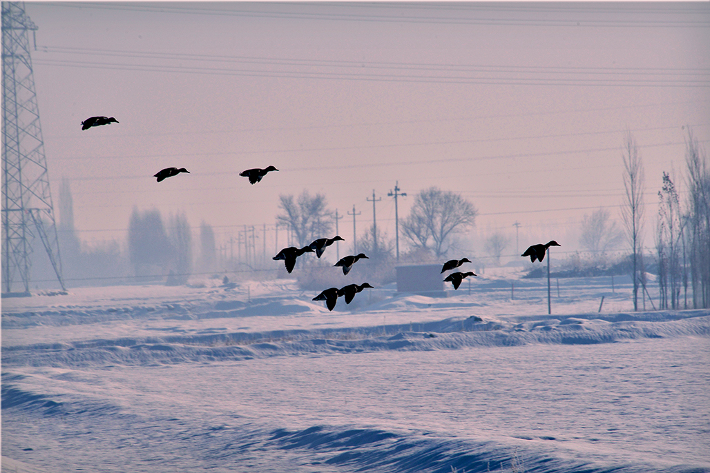 DSC_4037-1.jpg