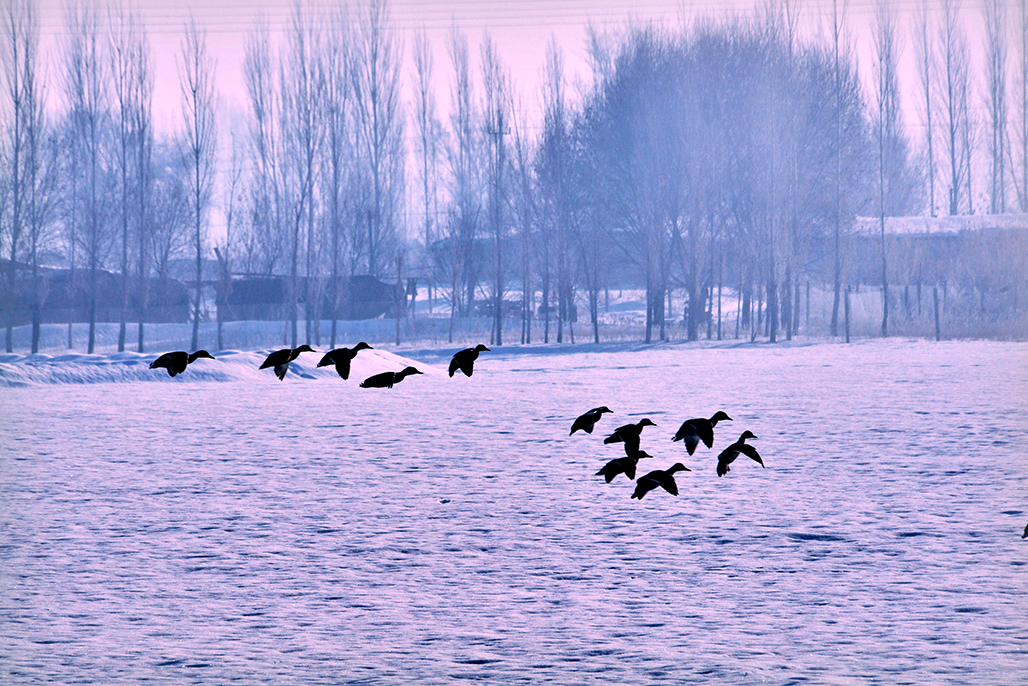 DSC_4042-1.jpg