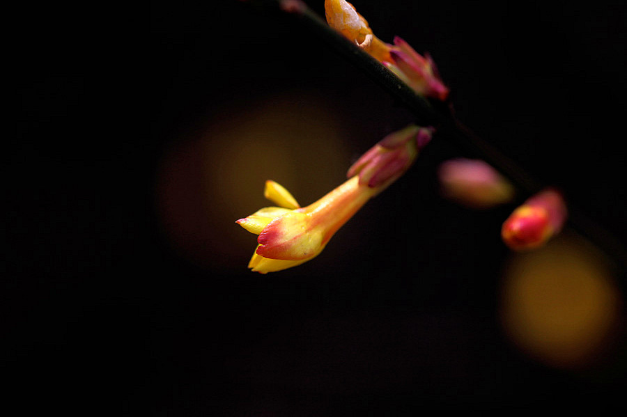 Ƭ 031_.jpg