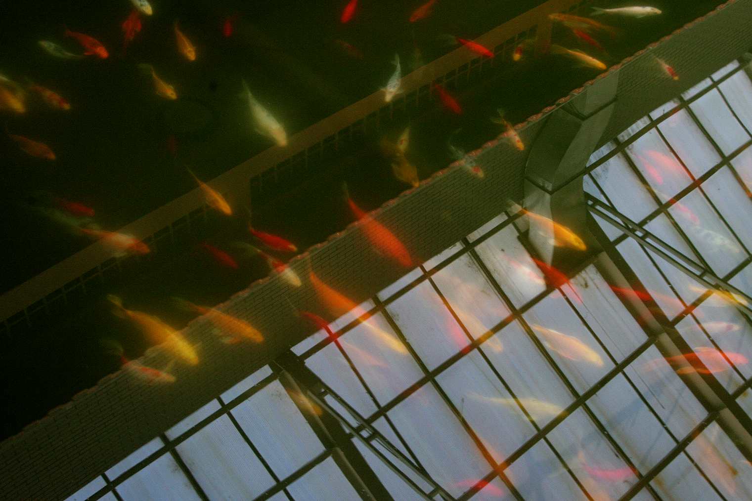 Ƭ 020_.jpg
