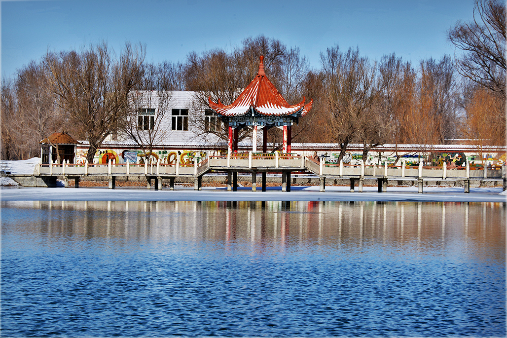 DSC_4084-1.jpg