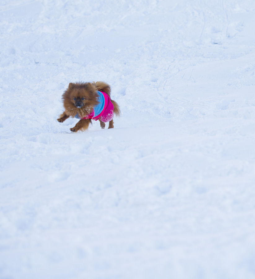 _DSC0310.JPG