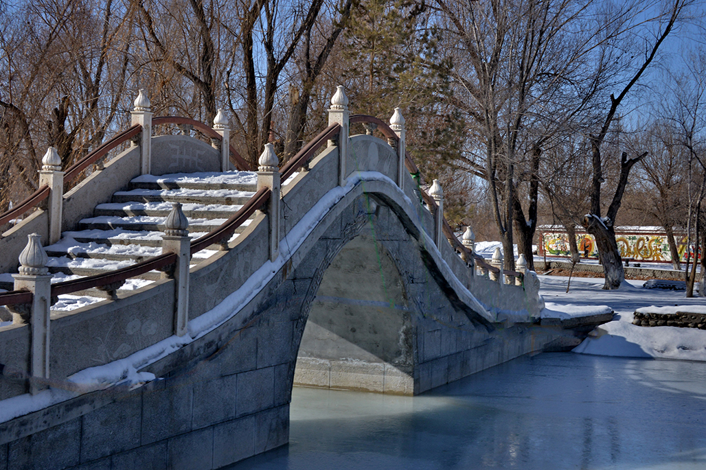 DSC_4101-1.jpg