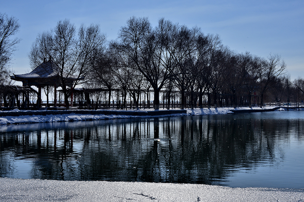 DSC_4123-1.jpg