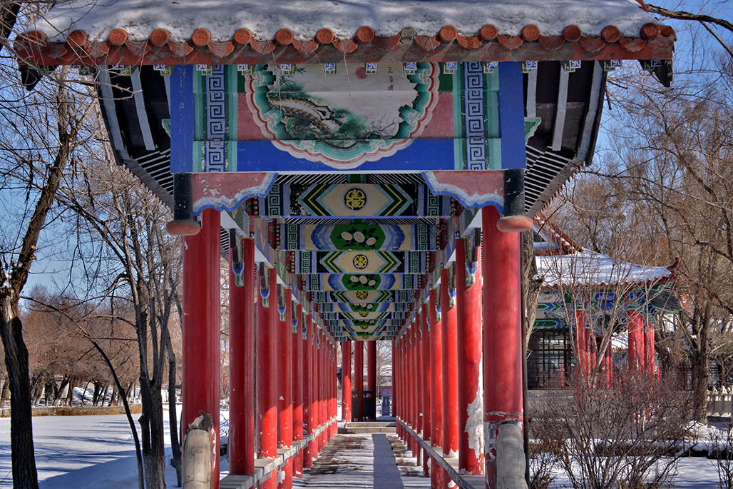 DSC_4107-1.jpg