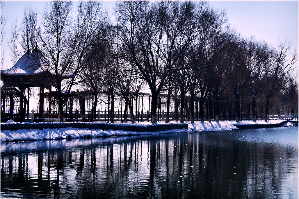 DSC_4126-1.jpg