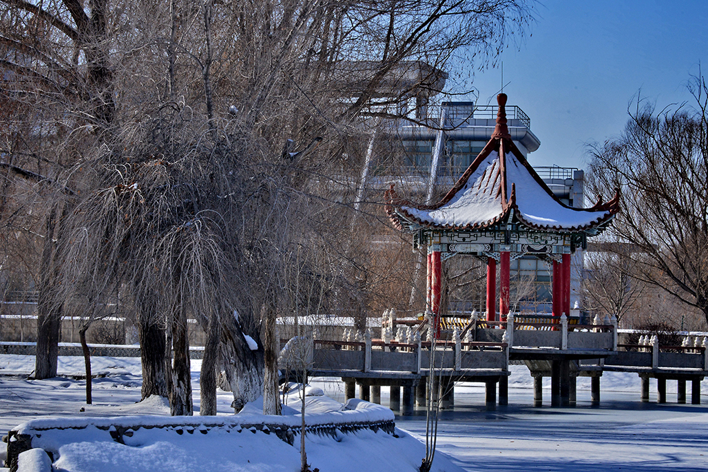 DSC_4110-1.jpg