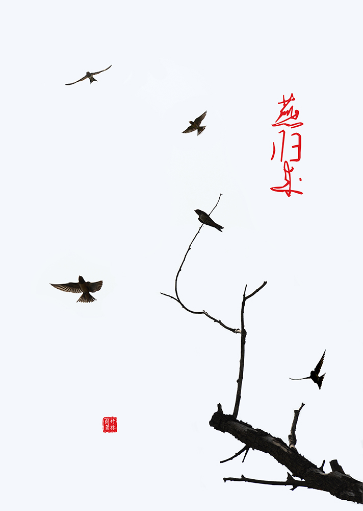 δ-1.jpg