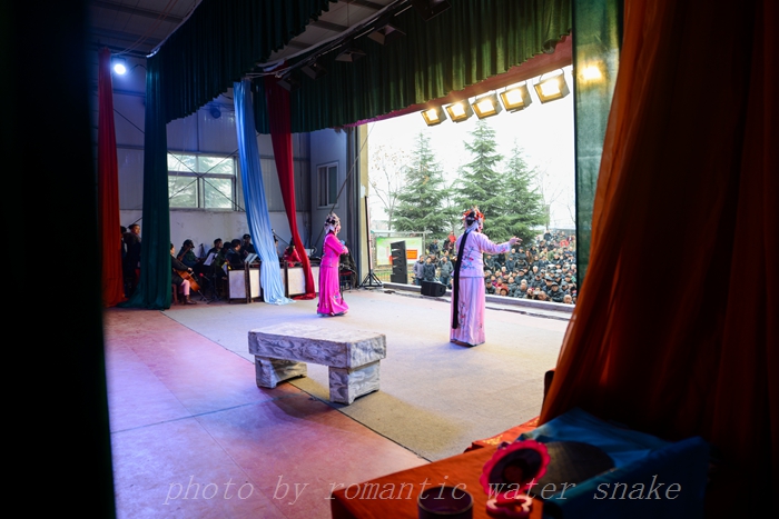 DSC_5202.jpg