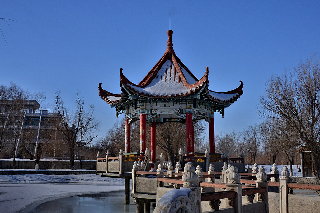 DSC_4135-1.jpg