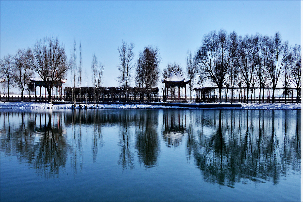 DSC_4145-1.jpg