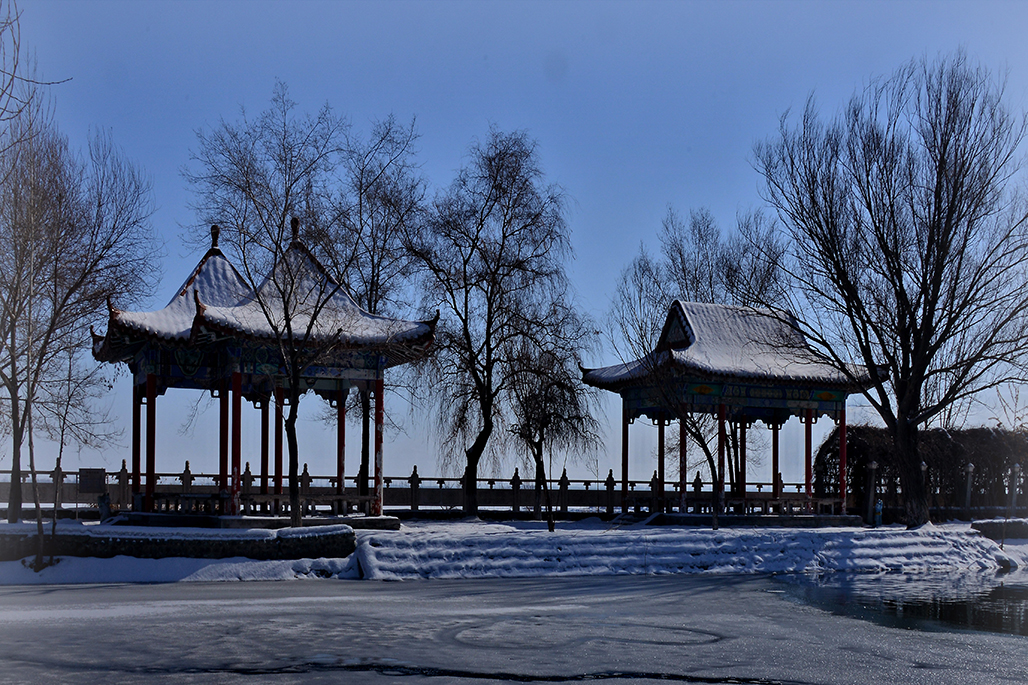 DSC_4128-1.jpg