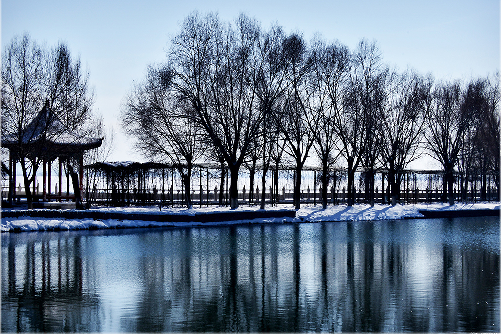 DSC_4140-1.jpg