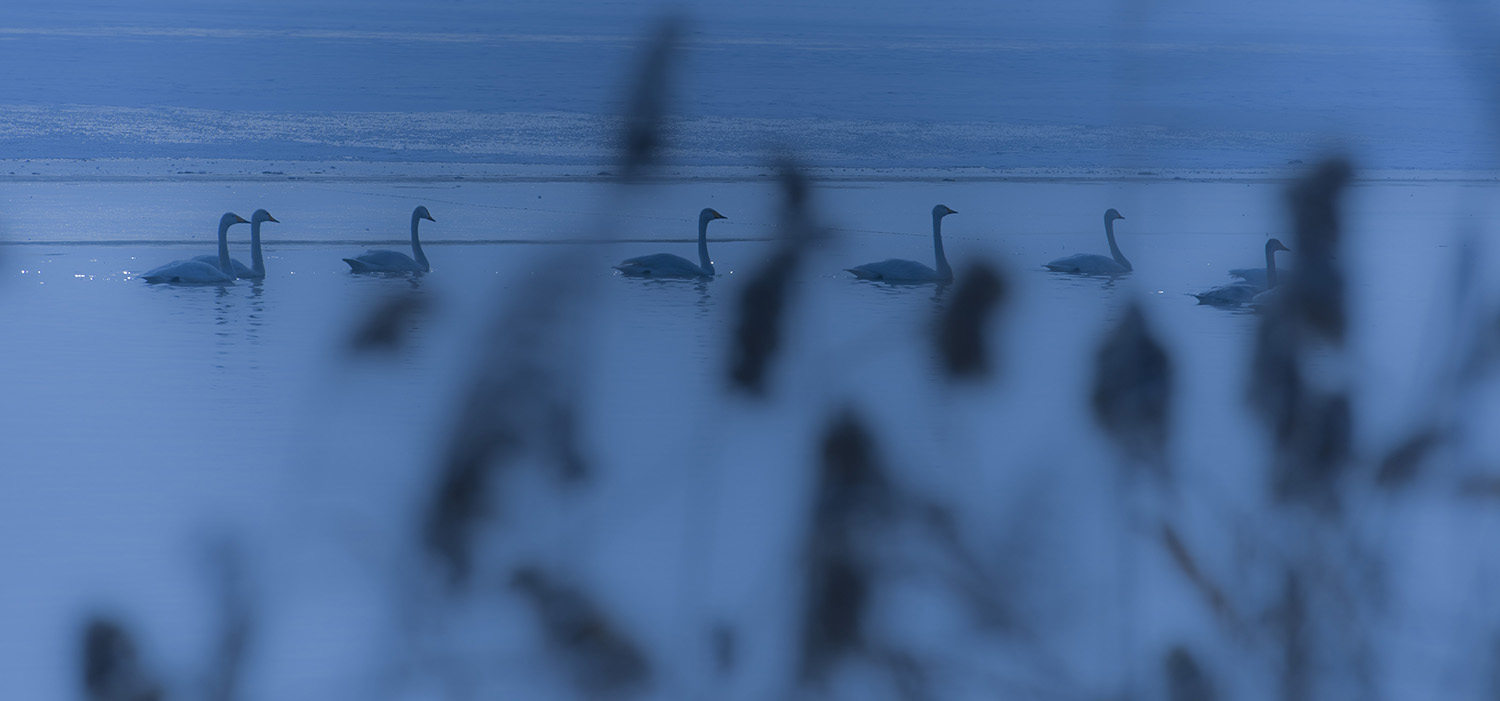 _DSC0583.JPG