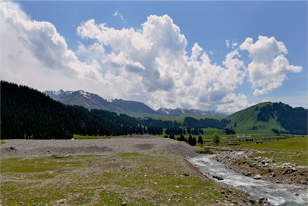 DSC_2956-1.jpg