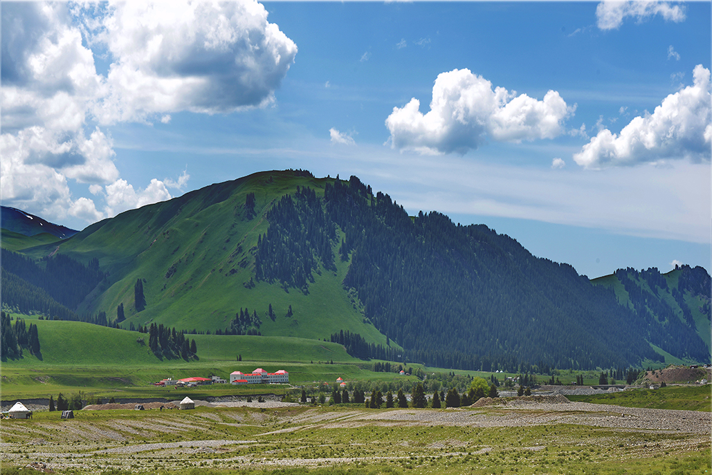 DSC_2936-1.jpg