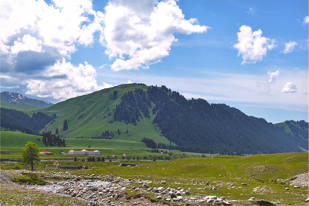 DSC_2954-1.jpg