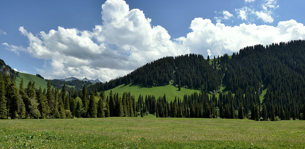 DSC_2966--1.jpg