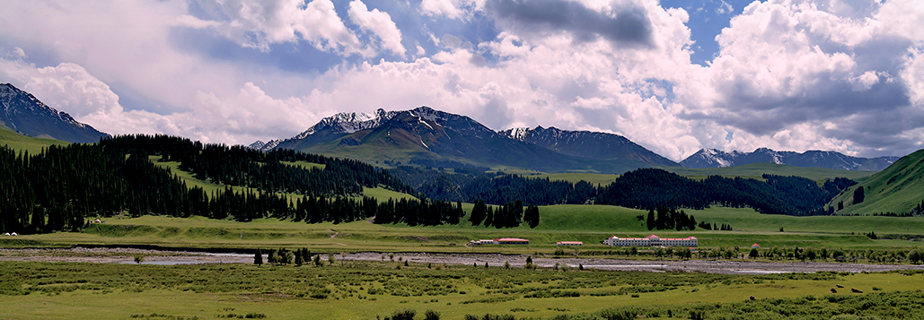 DSC_2959-2.jpg