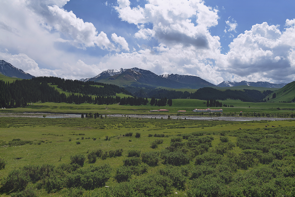 DSC_2959-1.jpg