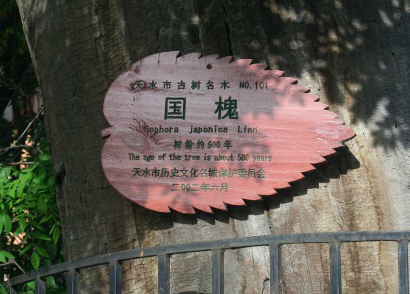  (216)_.jpg