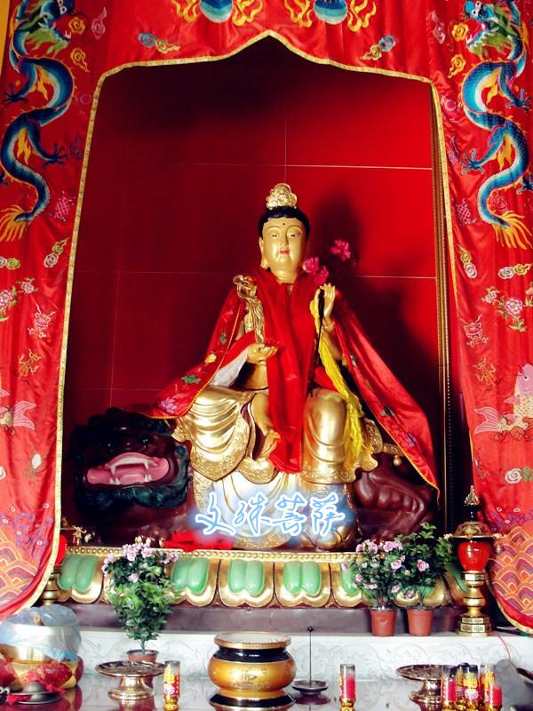 dsc04539__.jpg