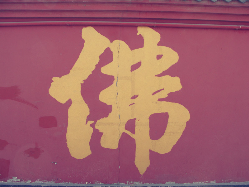 dsc04584_.jpg