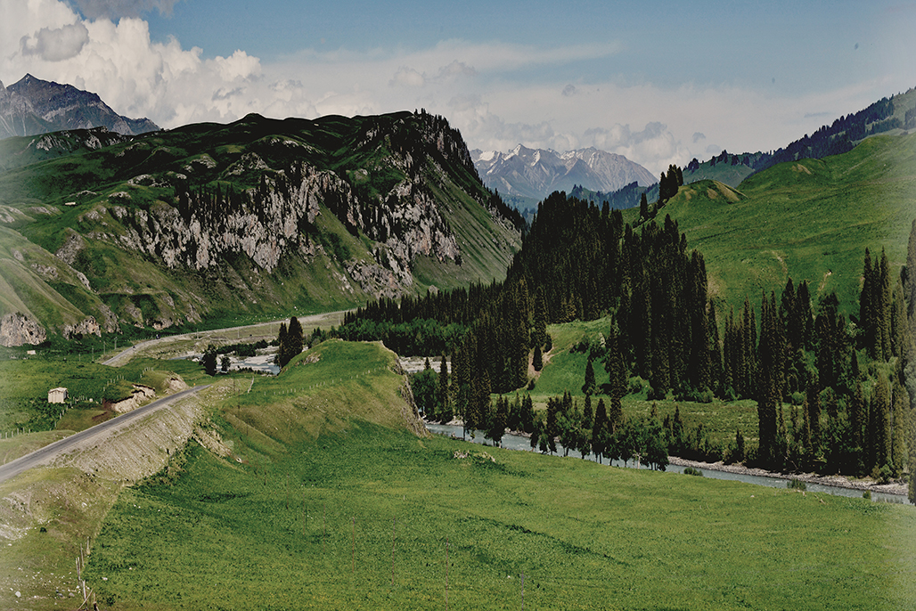 DSC_2990-1.jpg