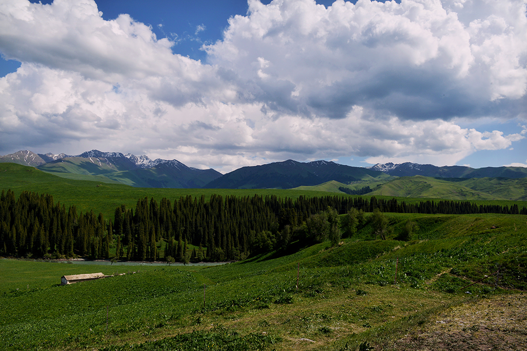 DSC_2992-1.jpg