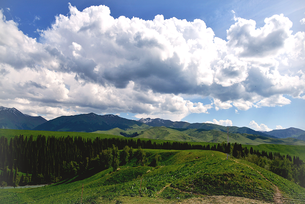 DSC_2993-1.jpg