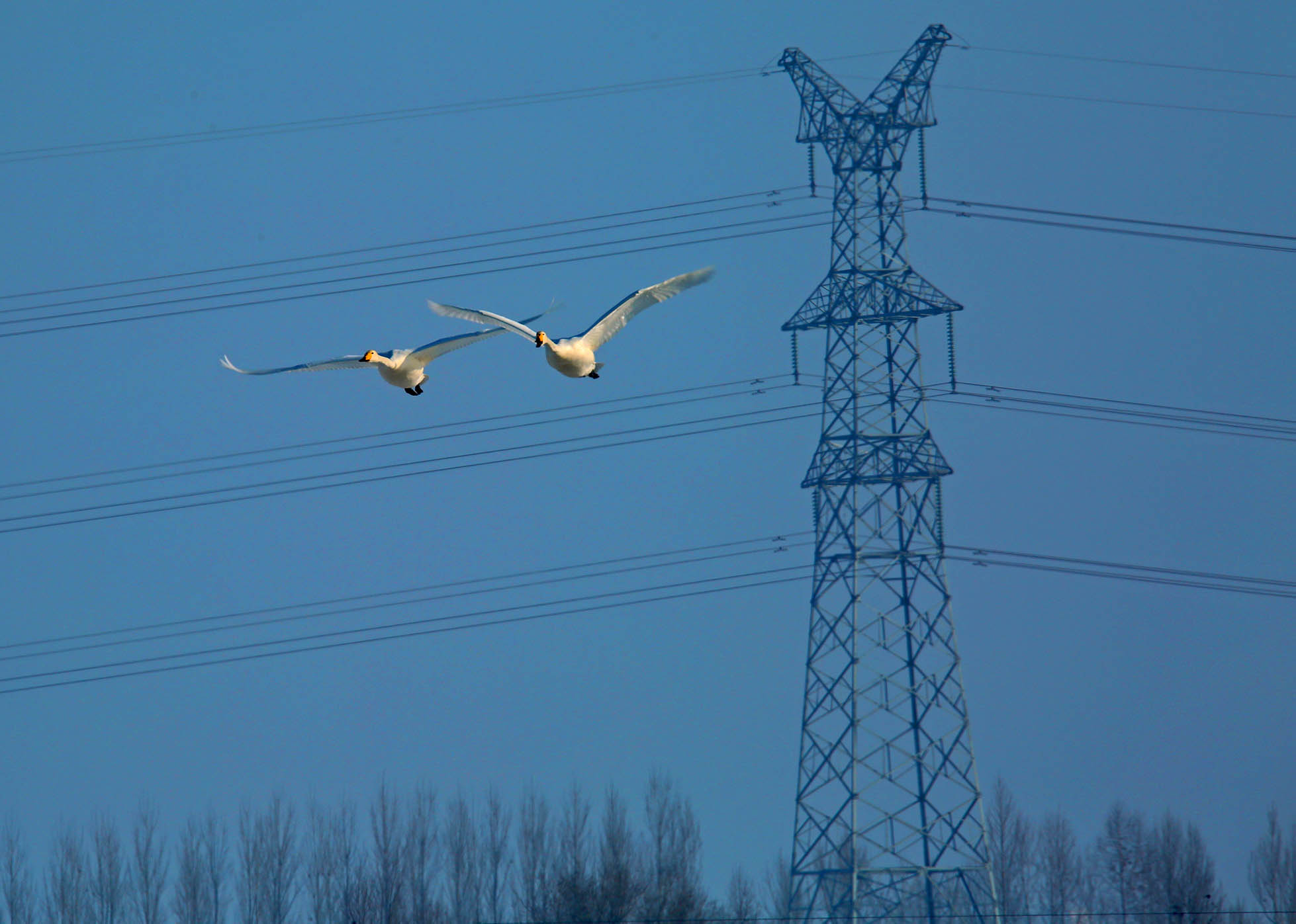 DH6A7439.jpg
