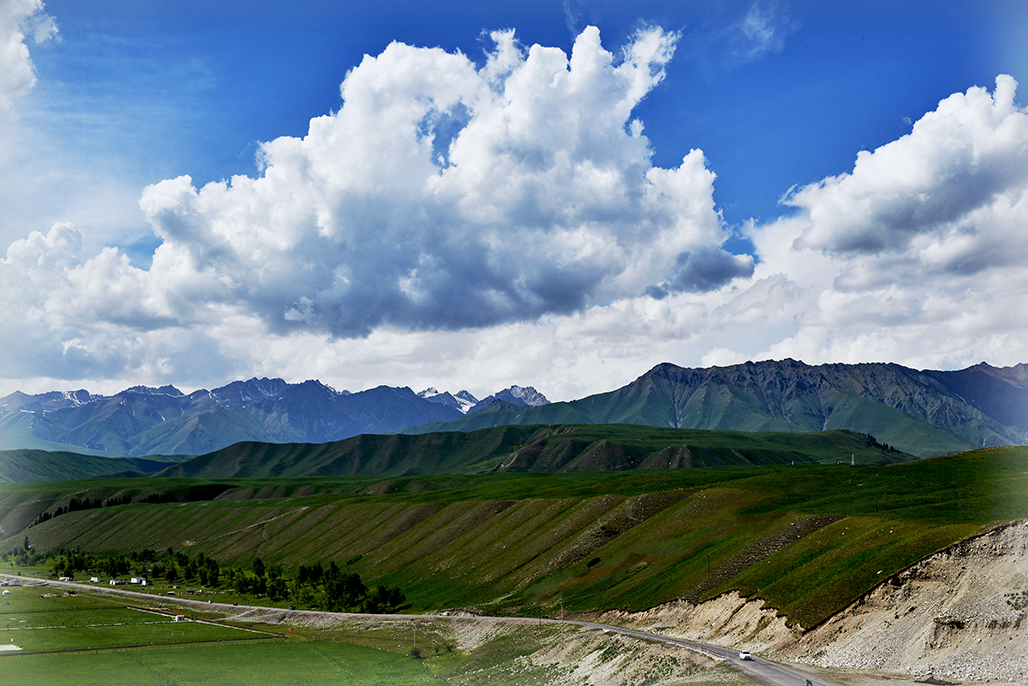 DSC_2994-1.jpg