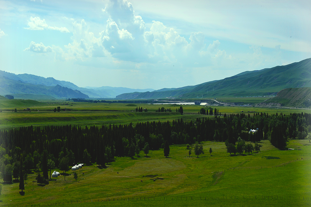 DSC_2995-1.jpg