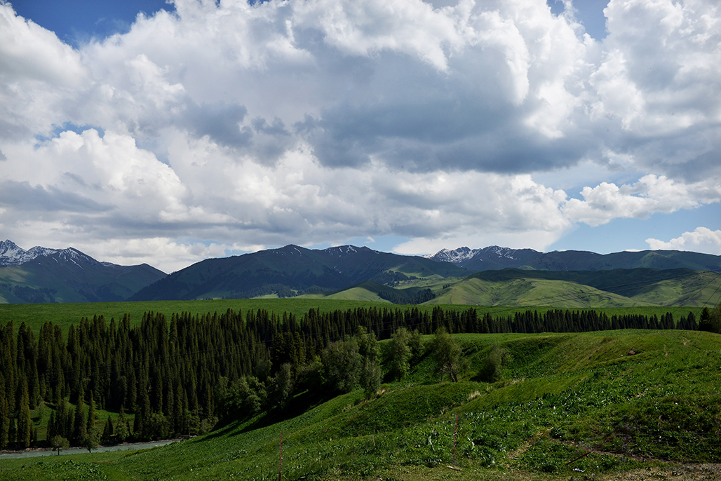 DSC_2998-1.jpg