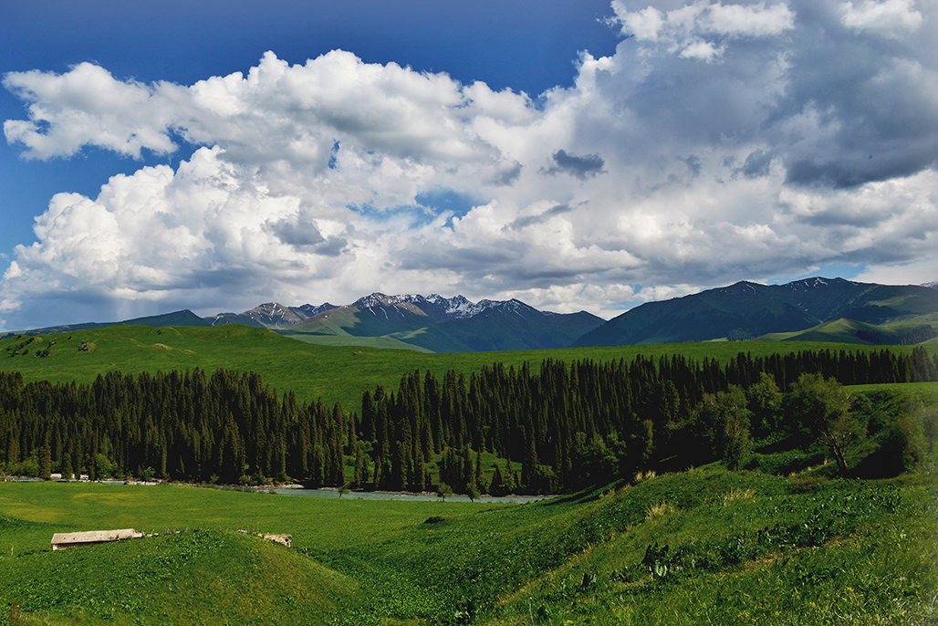 DSC_3000-1.jpg