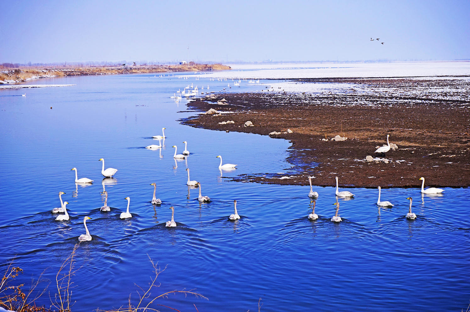 DSC00146_.jpg