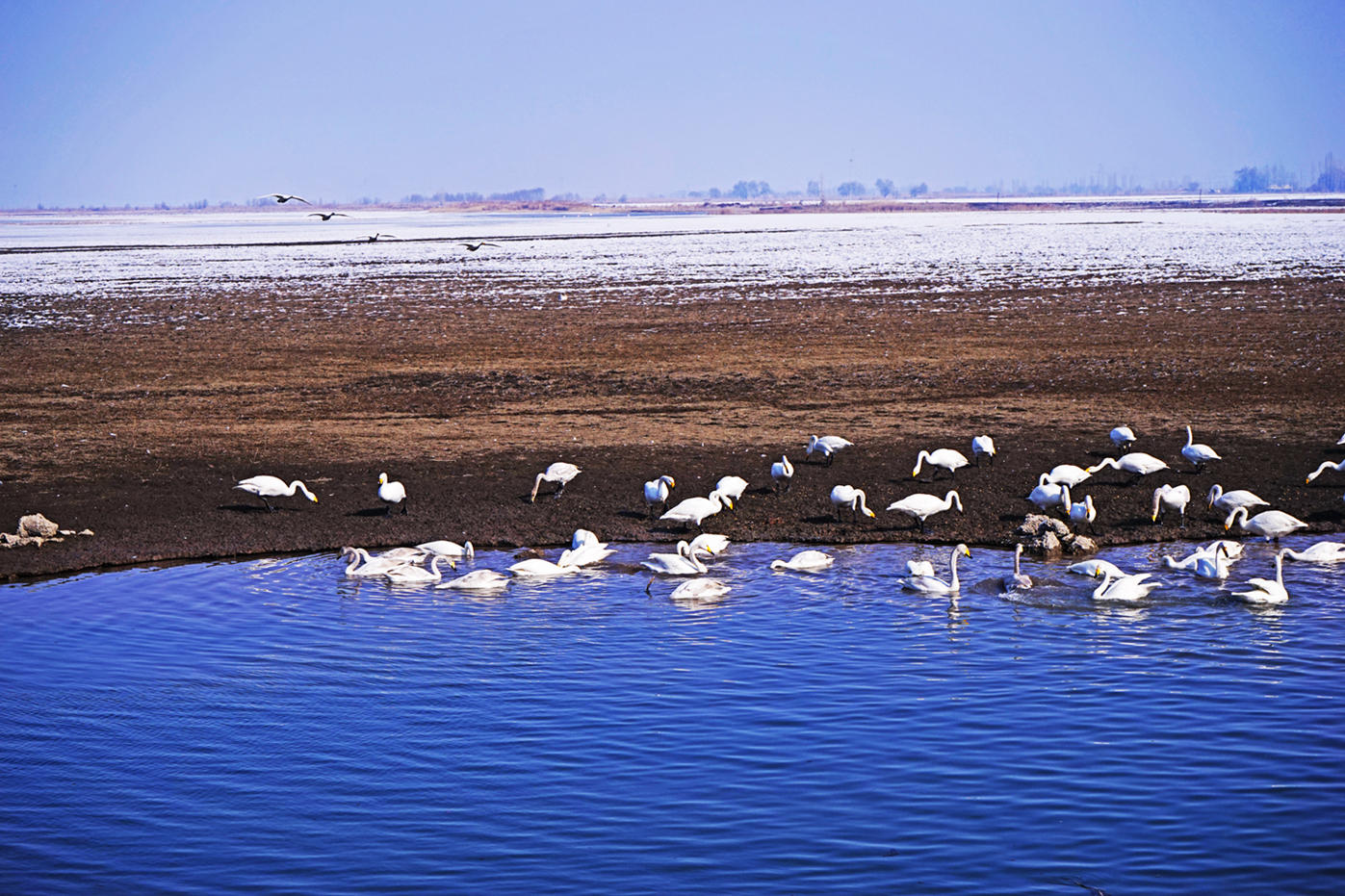 DSC00157_.jpg