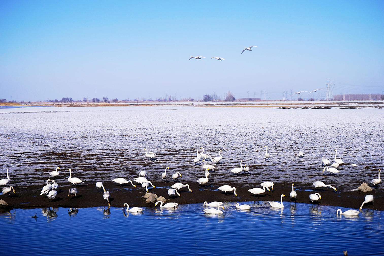 DSC09906_.jpg