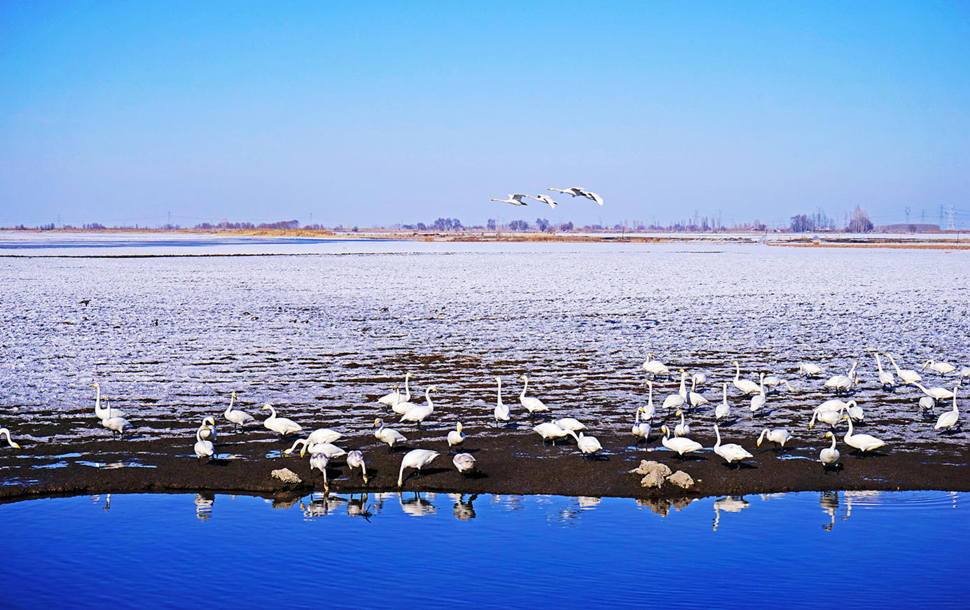 DSC09911_.jpg