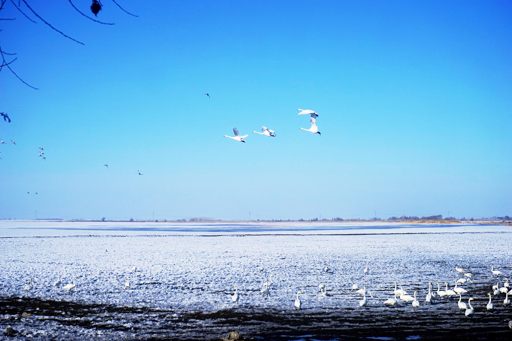 DSC09956_.jpg