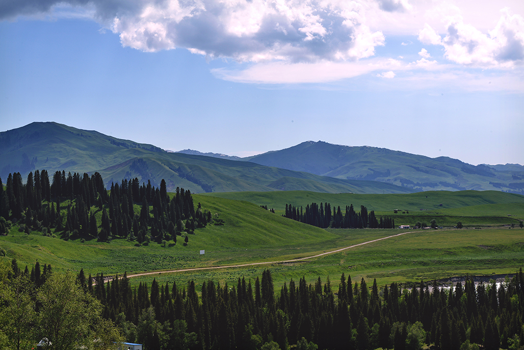 DSC_3007-1.jpg
