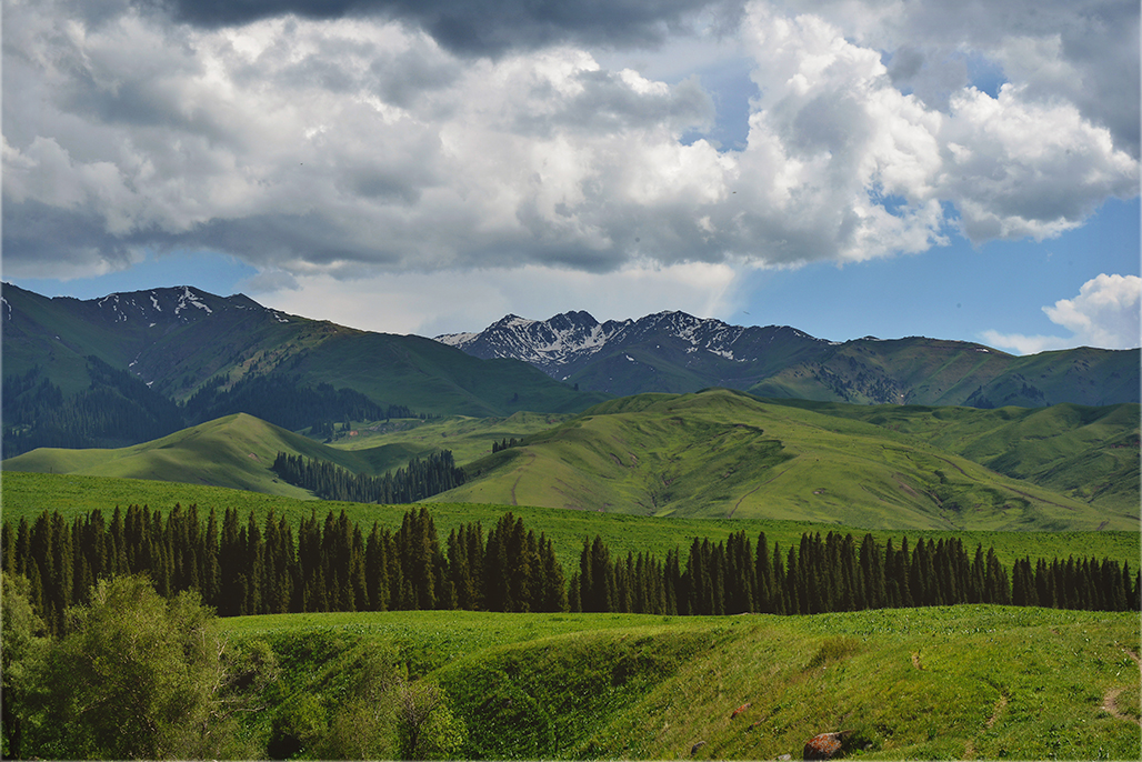 DSC_3006-1.jpg