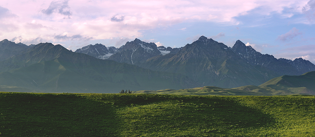 DSC_3083-1.jpg