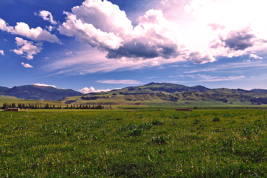 DSC_3024-1.jpg